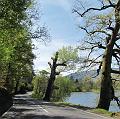 Rondje Lake District op 3-5-2012 (135)